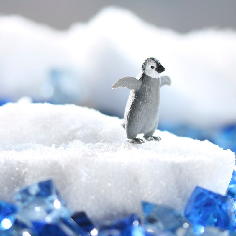 Miniature Baby Penguin