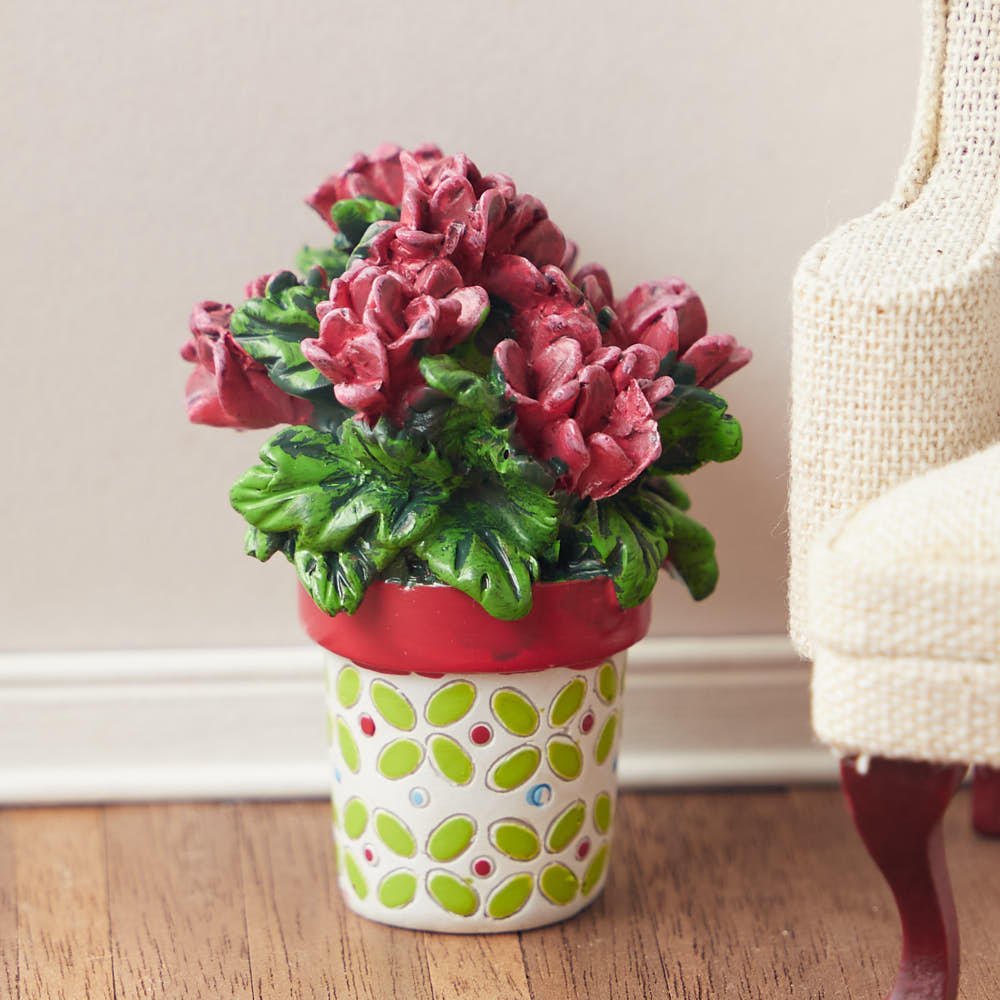 Mini Potted Geraniums
